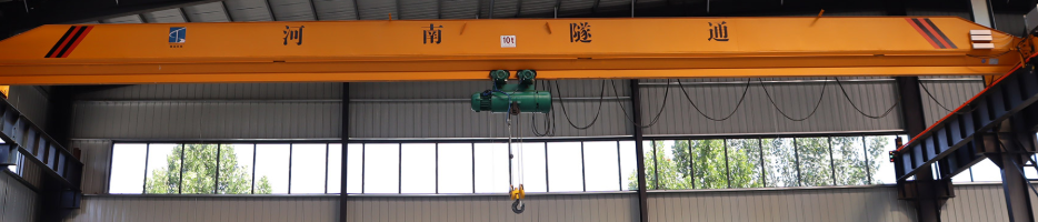 A Concise Overview of Bridge and Gantry Cranes