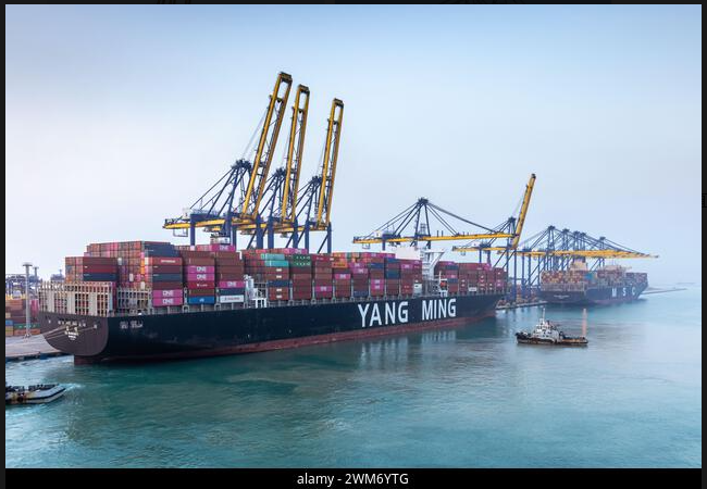 Overview of Thailand's  Crane Market and Procurement Guide